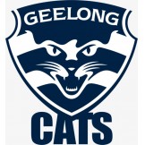 #2230 AFL FOOTBALL 2024 FOOTY STARS TWO N' TWO PYT  BREAK - GEELONG CATS