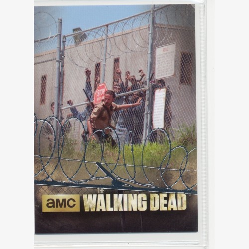 2014 CRYPTOZOIC  WALKING DEAD FOIL PARRALLEL "WALLS OF CHAIN" COLLECTOR CARD - TP02