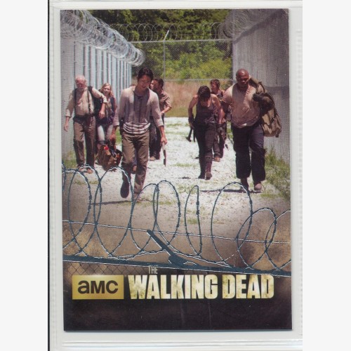2014 CRYPTOZOIC  WALKING DEAD FOIL PARRALLEL "A NARROW PATH" COLLECTOR CARD - TP03