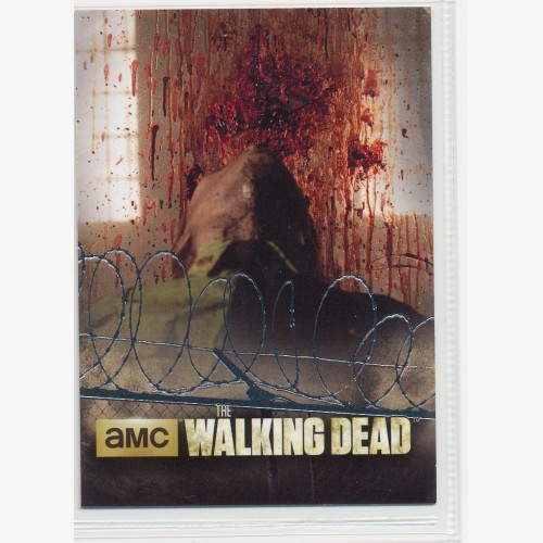 2014 CRYPTOZOIC  WALKING DEAD FOIL PARRALLEL "A TOMB" COLLECTOR CARD - TP05