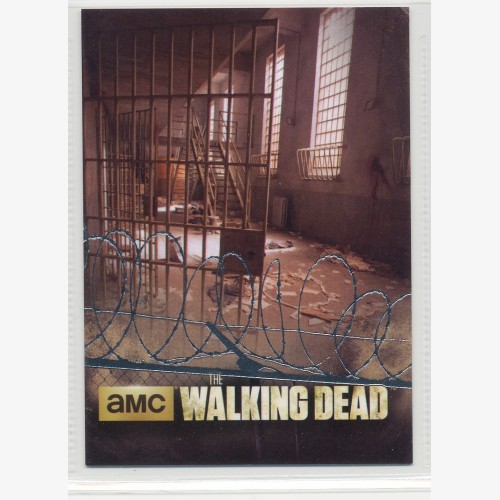 2014 CRYPTOZOIC  WALKING DEAD FOIL PARRALLEL "DOUBLE EDGED" COLLECTOR CARD - TP06