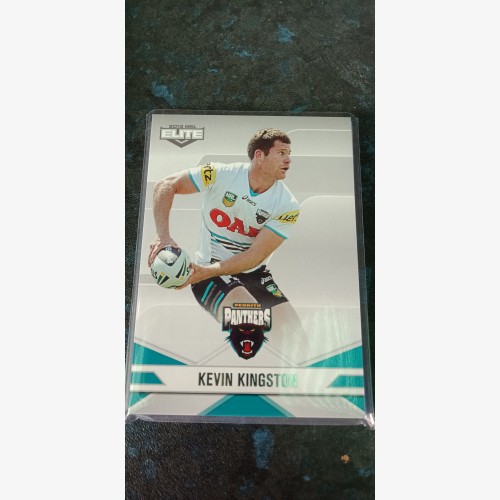 2013 NRL ELITE COMMON TEAM SET - 9 CARDS IN TOTAL - PENRITH PANTHERS