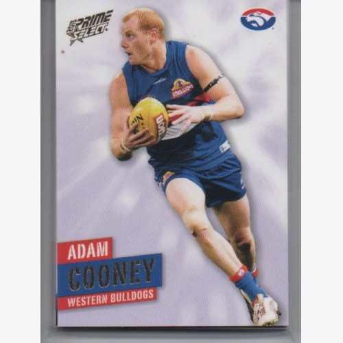 2013 AFL SELECT PRIME COMMON TEAM SET - 12 CARDS - WESTERN BULLDOGS