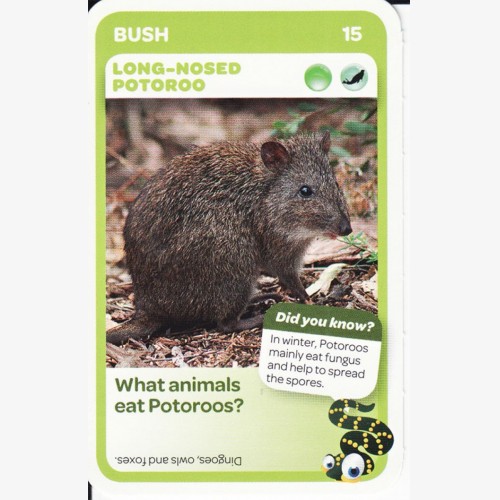 Woolworths Aussie Animals - Long-Nosed Potoroo #15