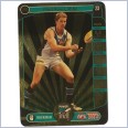 2014 AFL Teamcoach Gold Card 193 Matthew Lobbe