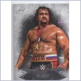 2015 TOPPS WWE UNDISPUTED Base Card 47 RUSEV