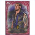 2015 TOPPS WWE UNDISPUTED NXT Prospects RED PARALLEL Card NXT-10 BARON CORBIN