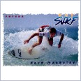 1994 FUTERA HOT SURF CARD 11 DAVE MACAULAY
