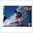 1994 FUTERA HOT SURF CARD WORLD TOUR 63 MICHAEL HO