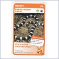 Woolworths Aussie Animals -  Bandy-Bandy Snake #25