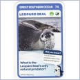 Woolworths Aussie Animals - Leopard Seal #74