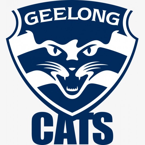 #810 AFL 2018 FOOTY STARS PYT CASE BREAK - GEELONG CATS