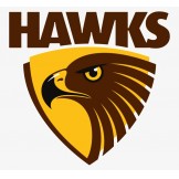 #2245 AFL FOOTBALL 2024 BRILLIANCE PYT BOX BREAK - HAWTHORN HAWKS