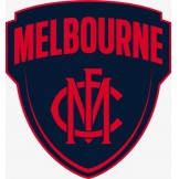 #2237 AFL FOOTBALL 2024 BRILLIANCE PYT BOX BREAK - MELBOURNE DEMONS