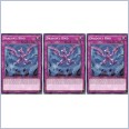 3 x Yu-Gi-Oh! Dragon's Bind (BOSH-EN069) - Common - NM-MINT - 1st Edition