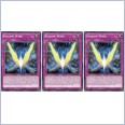 3 x Yu-Gi-Oh! Follow Wing (BOSH-EN070) - Common - NM-MINT - 1st Edition