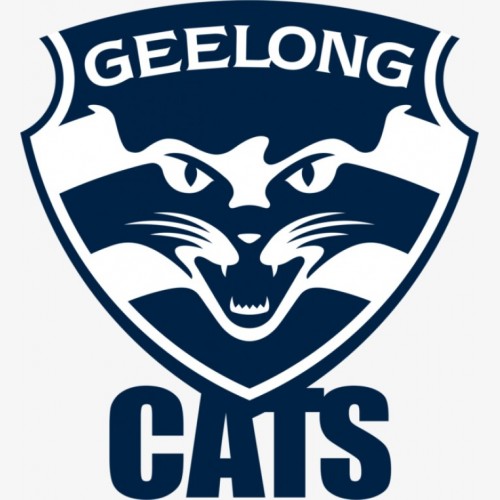 #2228 AFL FOOTBALL 2024 FOOTY STARS TWO N' TWO PYT  BREAK - GEELONG CATS