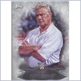 2015 TOPPS WWE UNDISPUTED Base Card 94 PAT PATTERSON