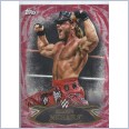 2015 TOPPS WWE UNDISPUTED Red Parallel Card 18 SHAWN MICHAELS HBK