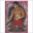 2015 TOPPS WWE UNDISPUTED Red Parallel Card 34 RICKY THE DRAGON STEAMBOAT
