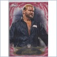 2015 TOPPS WWE UNDISPUTED Red Parallel Card 83 ARN ANDERSON