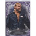 2015 TOPPS WWE UNDISPUTED Purple Parallel Card 83 "ARN ANDERSON" 07/50