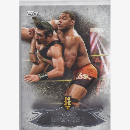 2015 TOPPS WWE UNDISPUTED NXT Prospects Card NXT-1 ANGELO DAWKINS