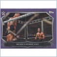 2015 TOPPS WWE UNDISPUTED Cage Evolution Moments PURPLE PARALLEL Card CEM-19 RANDY ORTON Vs SETH ROLLINS 48/50
