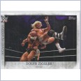 2015 TOPPS WWE UNDISPUTED Famous Finishers Card FF-4 DOLPH ZIGGLER ZIG ZAG