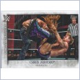 2015 TOPPS WWE UNDISPUTED Famous Finishers Card FF-9 CHRIS JERICHO CODEBREAKER