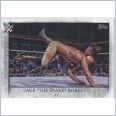 2015 TOPPS WWE UNDISPUTED Famous Finishers Card FF-26 JAKE THE SNAKE ROBERTS DDT