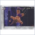2015 TOPPS WWE UNDISPUTED Famous Finishers Card FF-30 NEVILLE RED ARROW
