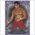 2015 TOPPS WWE UNDISPUTED Purple Parallel Card 34 "RICKY THE DRAGON STEAMBOAT" 42/50