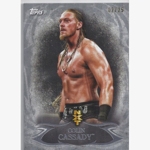 2015 TOPPS WWE UNDISPUTED NXT Prospects SILVER PARALLEL Card NXT-20 COLIN CASSADY 02/25