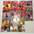 1995 AFL SELECT SERIES 2 MELBOURNE DEMONS CARD TEAM SET 11 CARDS