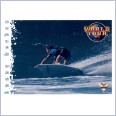 1994 FUTERA HOT SURF CARD WORLD TOUR 66 BUZZY KERBOX