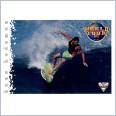 1994 FUTERA HOT SURF CARD WORLD TOUR 76 HANS HEDEMAN