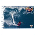 1994 FUTERA HOT SURF CARD WORLD TOUR 78 MARK WARREN