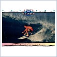 1994 FUTERA HOT SURF CARD RISING STARS 94 MARK BANNISTER