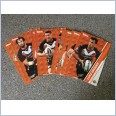 2015 NRL Traders Common Team Set - Wests Tigers