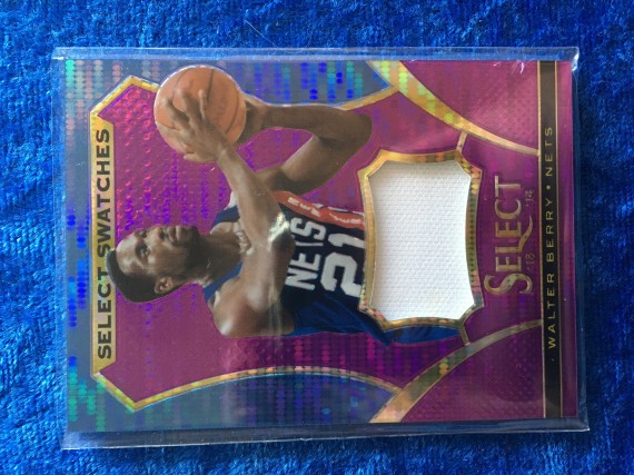 Walter Berry New Jersey Nets 2013-14 Panini Select Prime Prizm Swatch Card #78/99