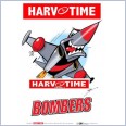 Essendon Bombers Mascot (Harv Time Poster)