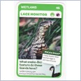 Woolworths Aussie Animals - Lace Monitor #45