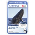 Woolworths Aussie Animals - Blue Wale #75