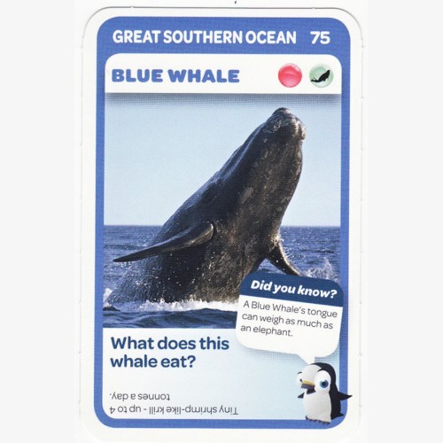 Woolworths Aussie Animals - Blue Wale #75 | Gimko