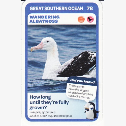 Woolworths Aussie Animals - Wandering Albatross #78