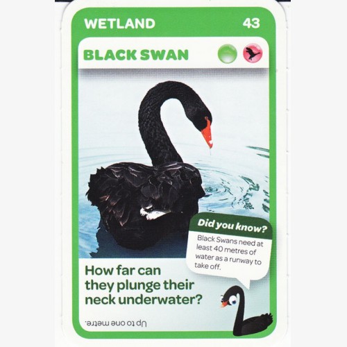 Woolworths Aussie Animals - Black Swan #43