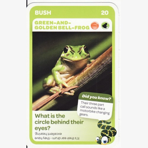 Woolworths Aussie Animals - Green-and-Golden Bell Frog #20