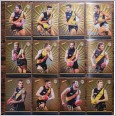 2016 Select Footy Stars Excel Silver Team Set - Richmond