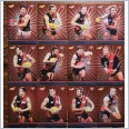 2016 Select Footy Stars Excel Silver Team Set - Essendon